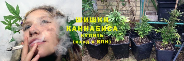 прущая мука Богородск