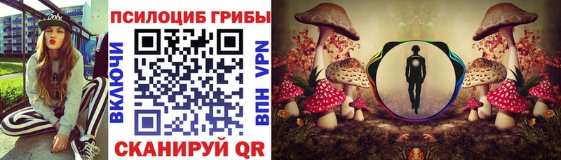 Купить где  Абакан  Галлюциногенные грибы ЛСД 